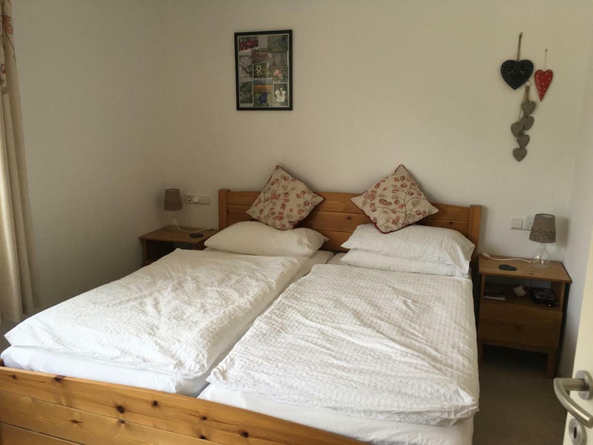 Apartment Coley Ramsau am Dachstein Ngoại thất bức ảnh